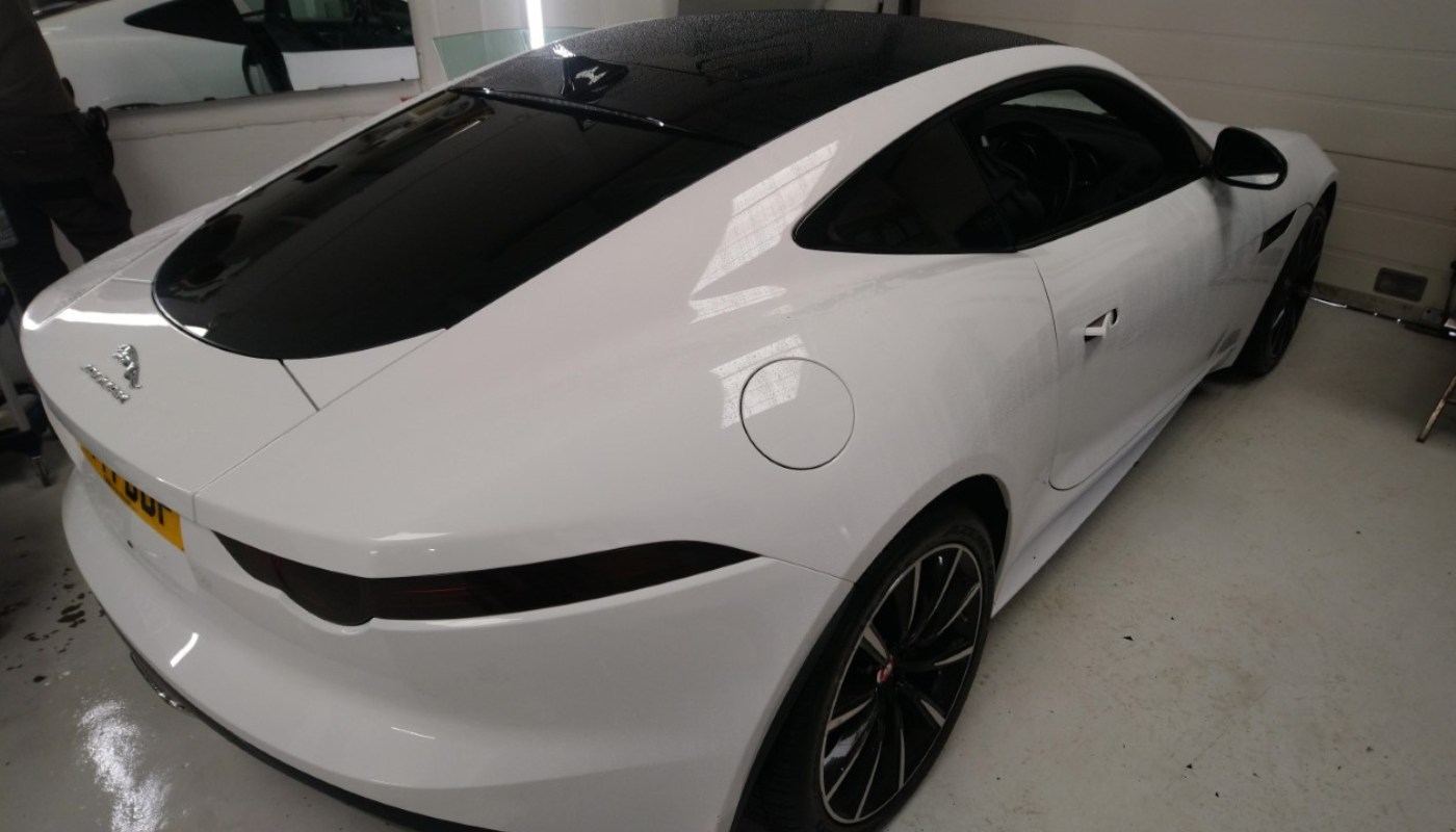 jaguar-car-backhalf23